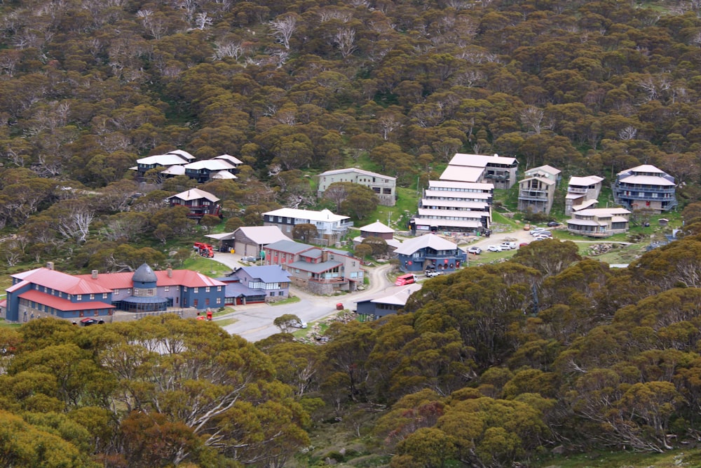 an aerial view of a town surrounded by trees