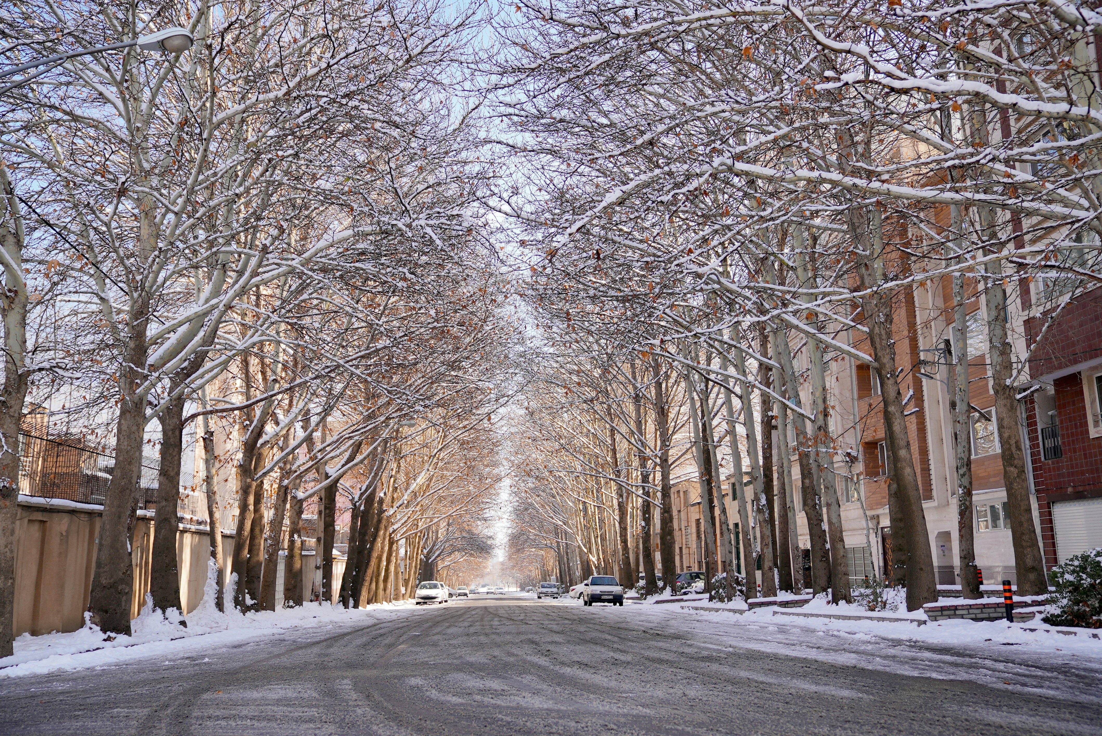 Photo by rafieeartist