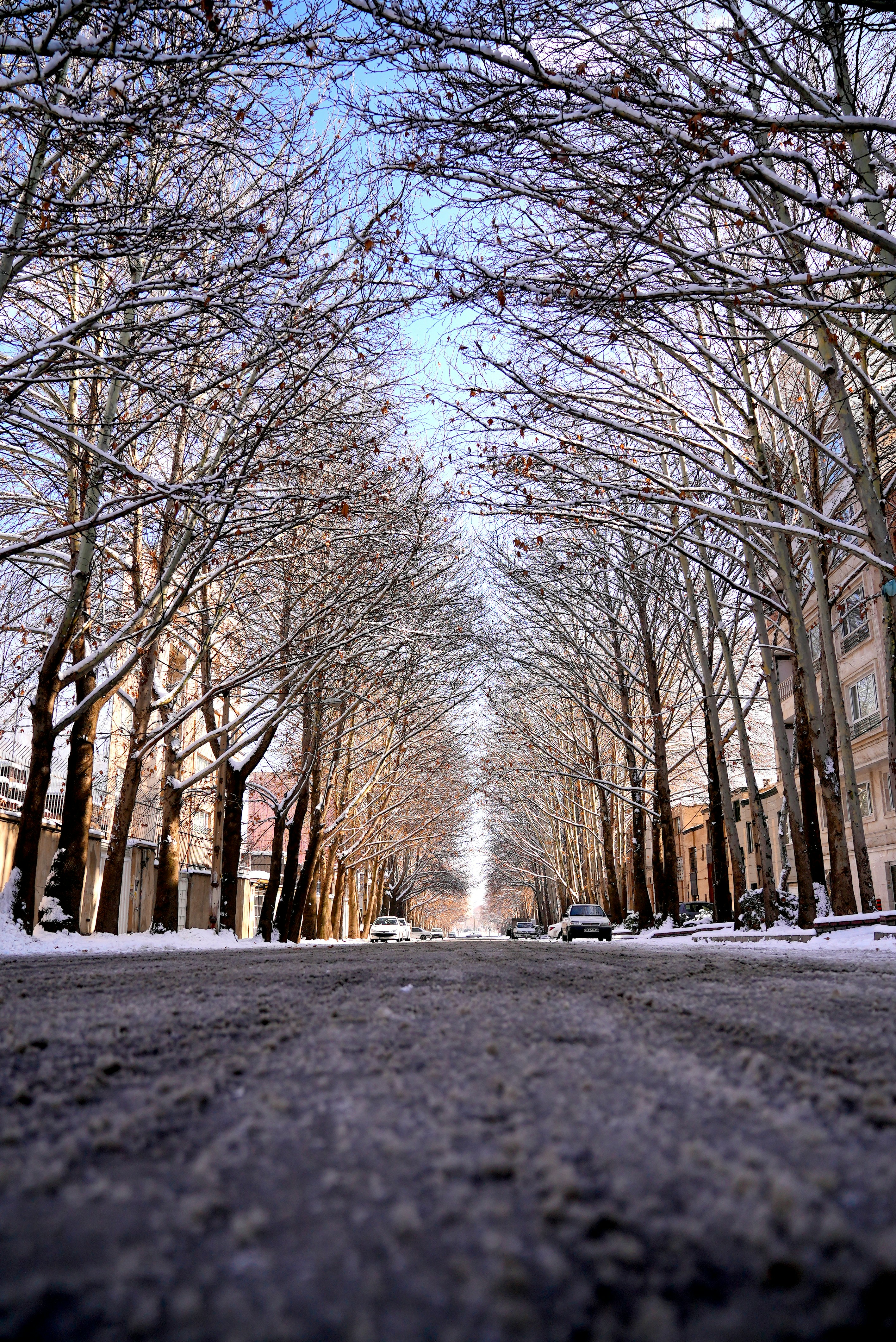 Photo by rafieeartist