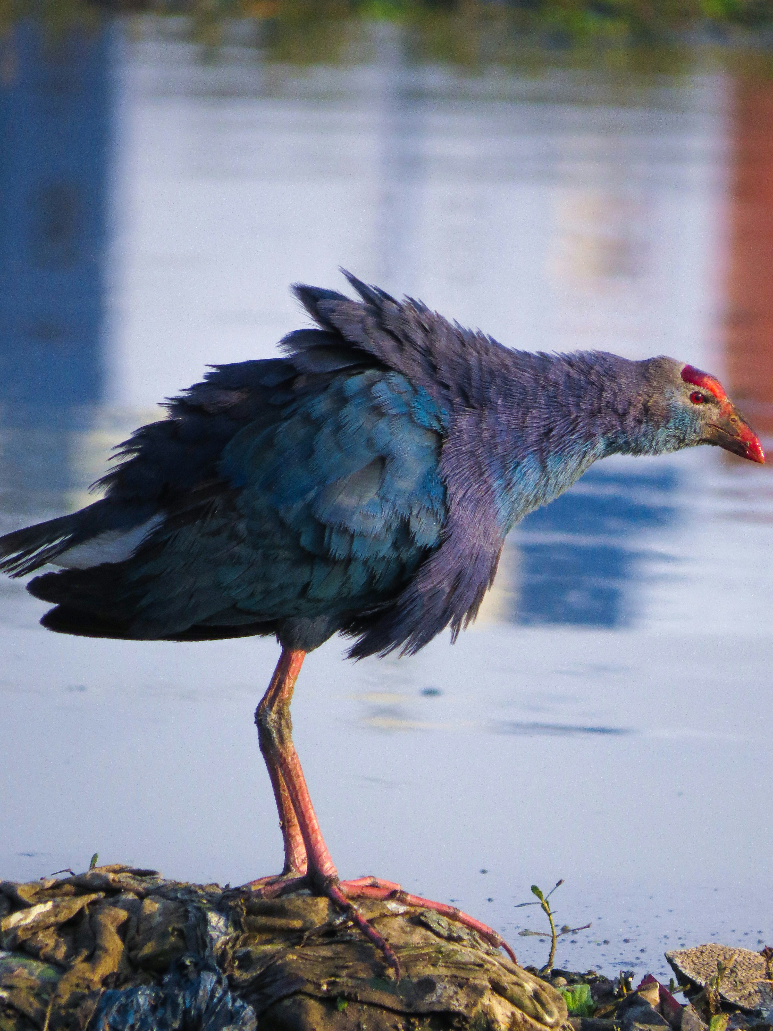 Photo by anandramavath_786