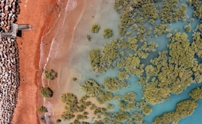 an aerial view of a beach with a windmill in the distance