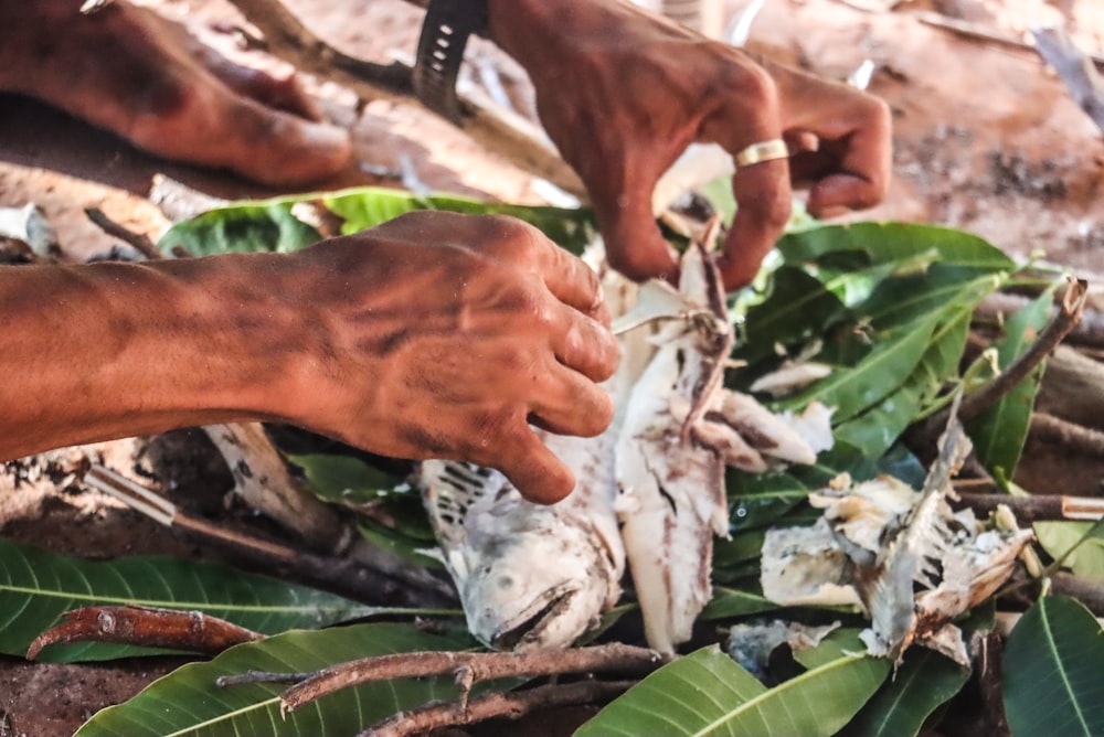a person cutting up a fish on top of a pile of leaves