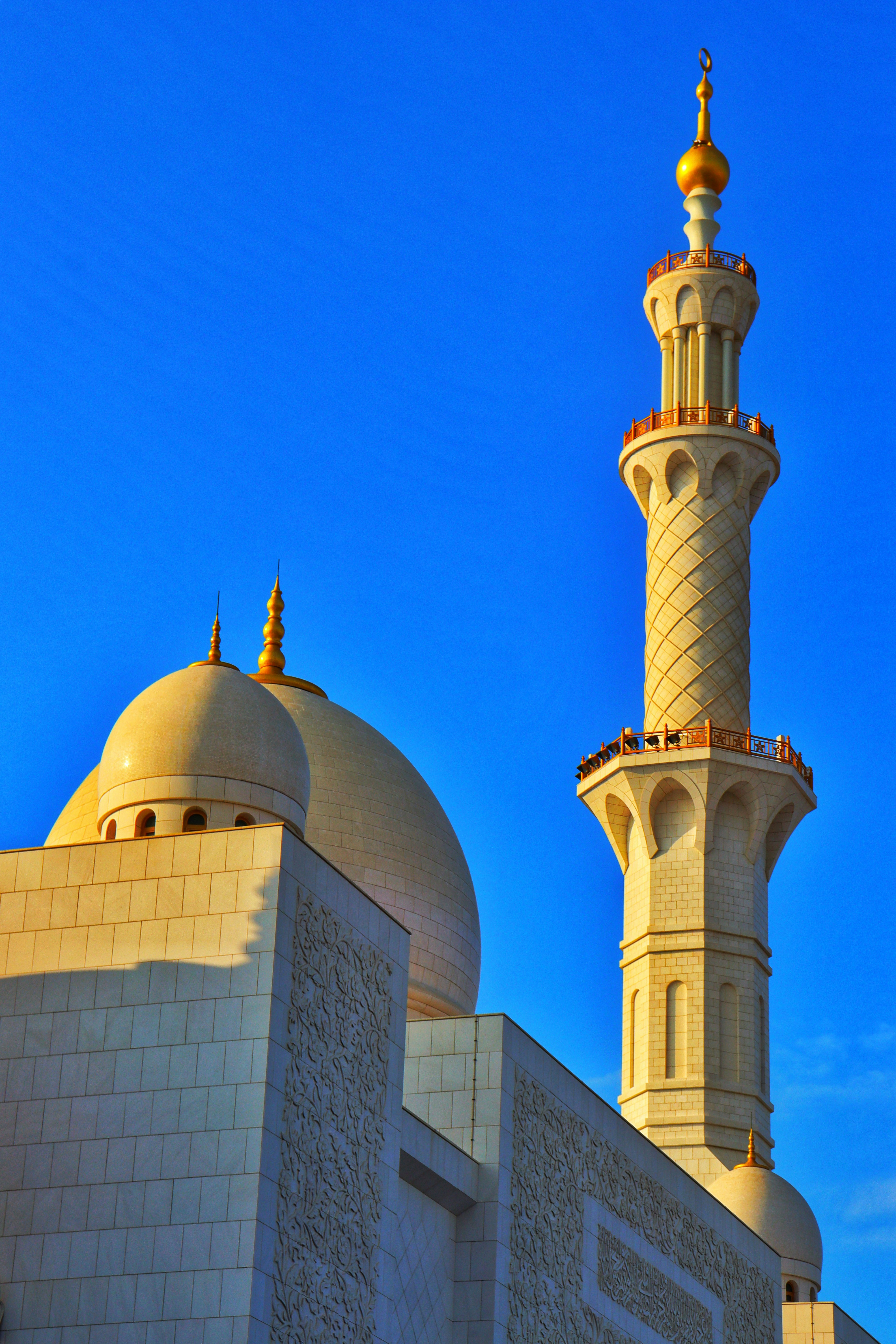 Photo by saubhagya2304