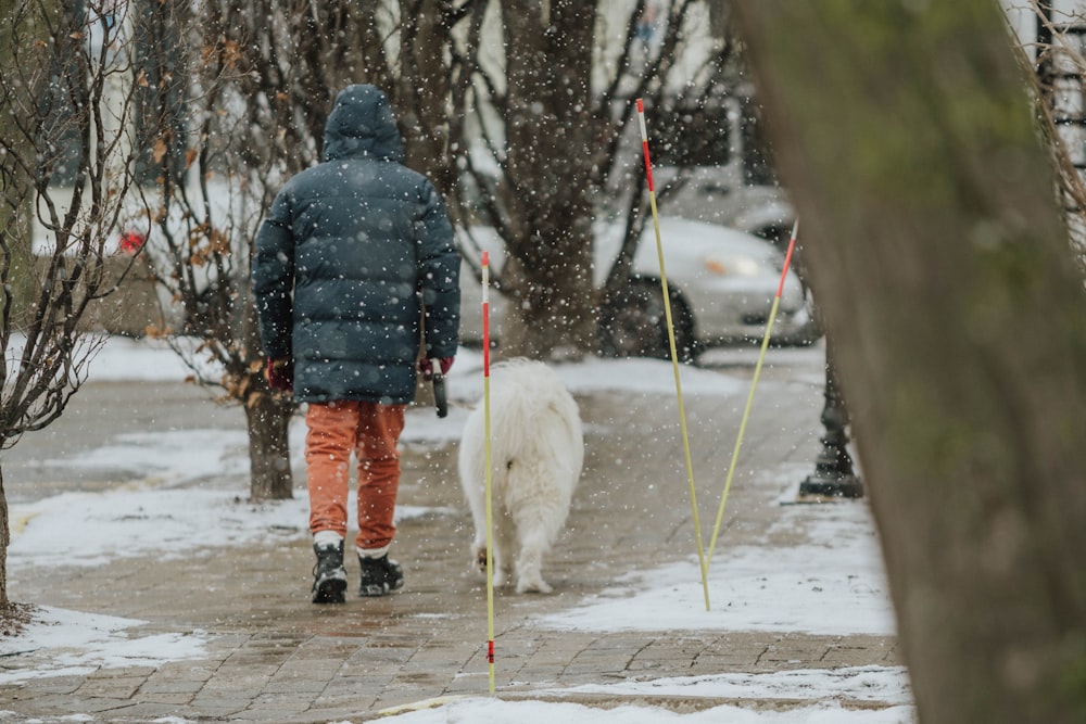 a person walking a dog in the snow