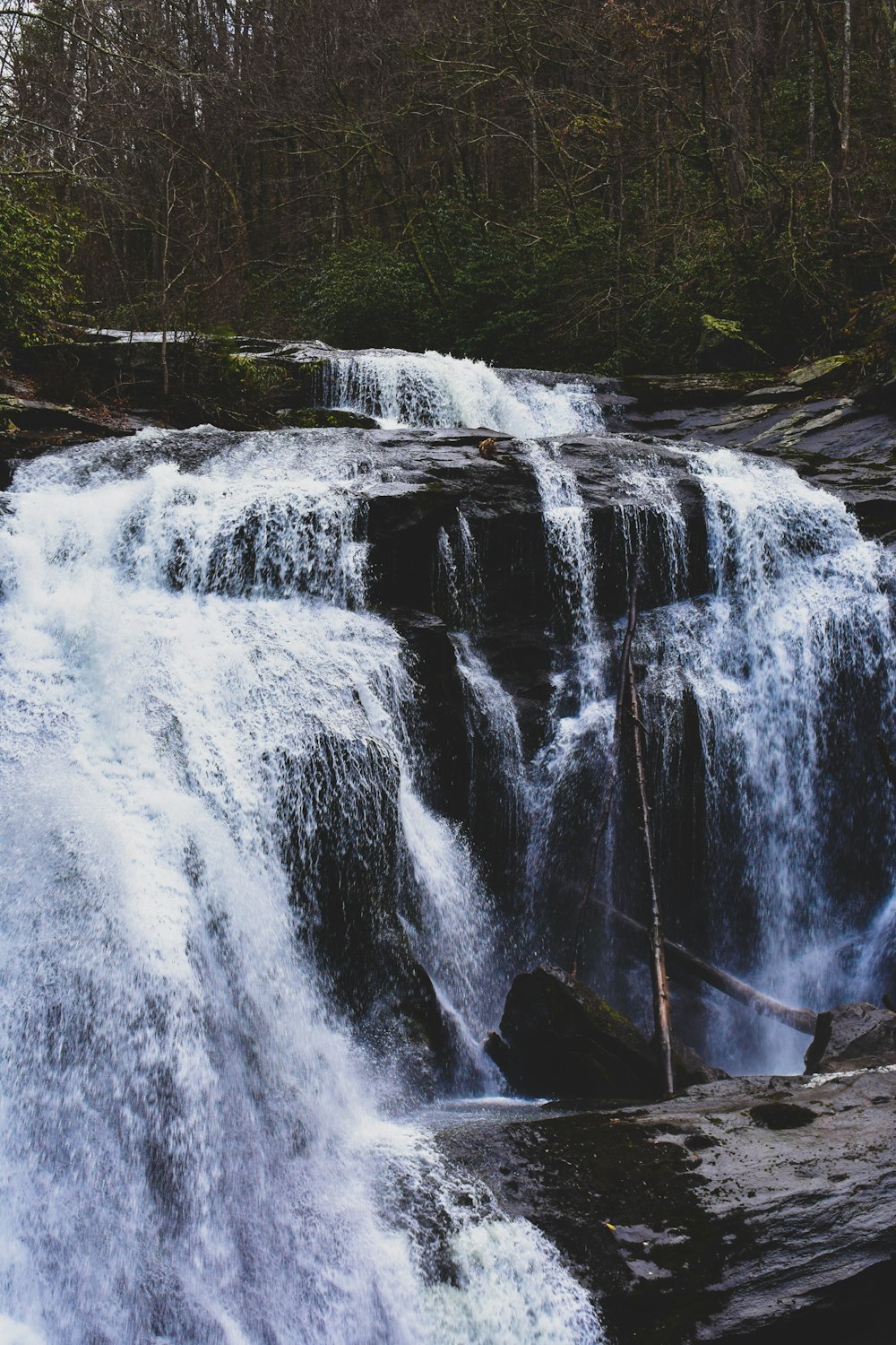 a large waterfall in the middle of a forest