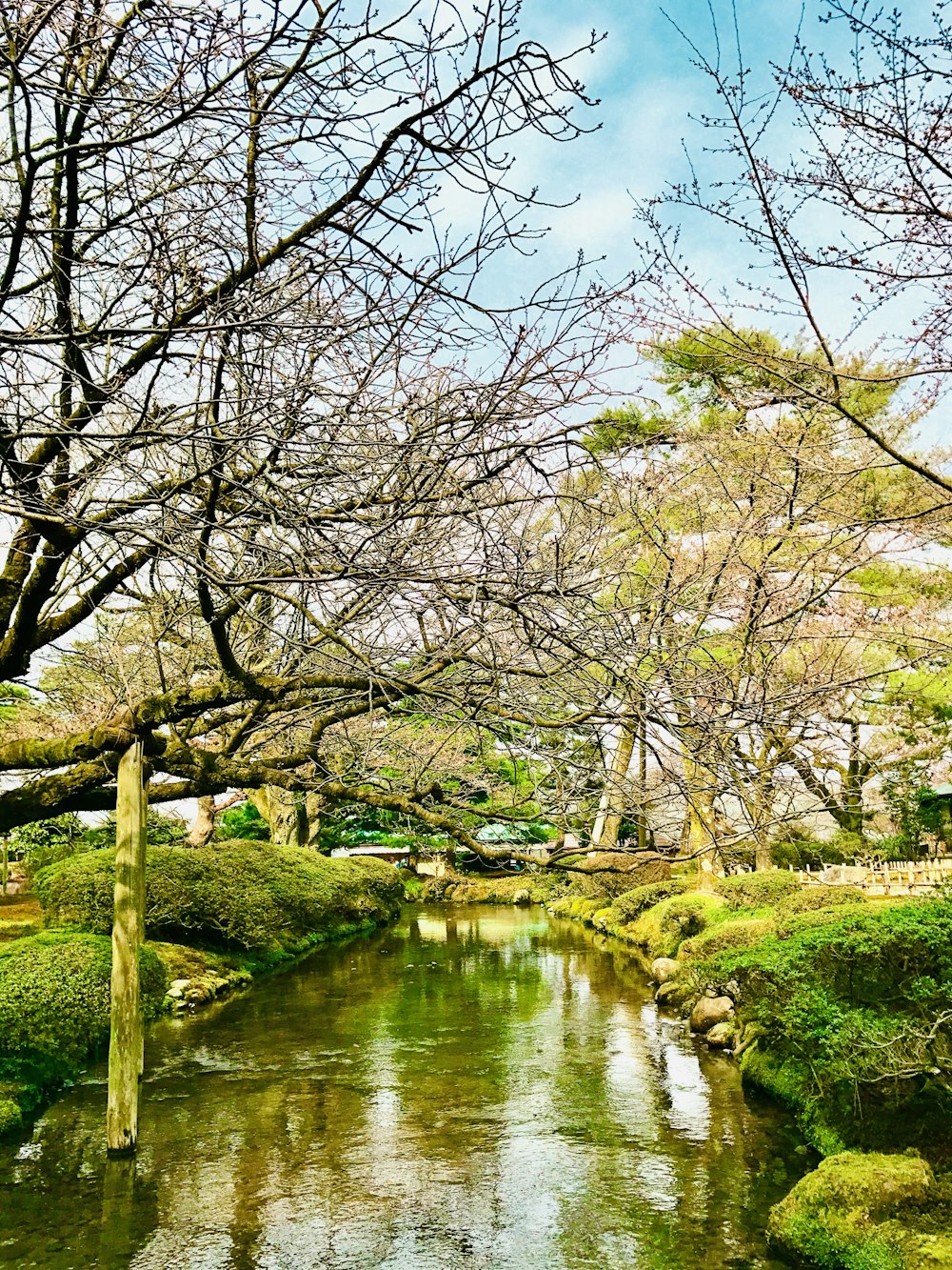 a river running through a lush green park