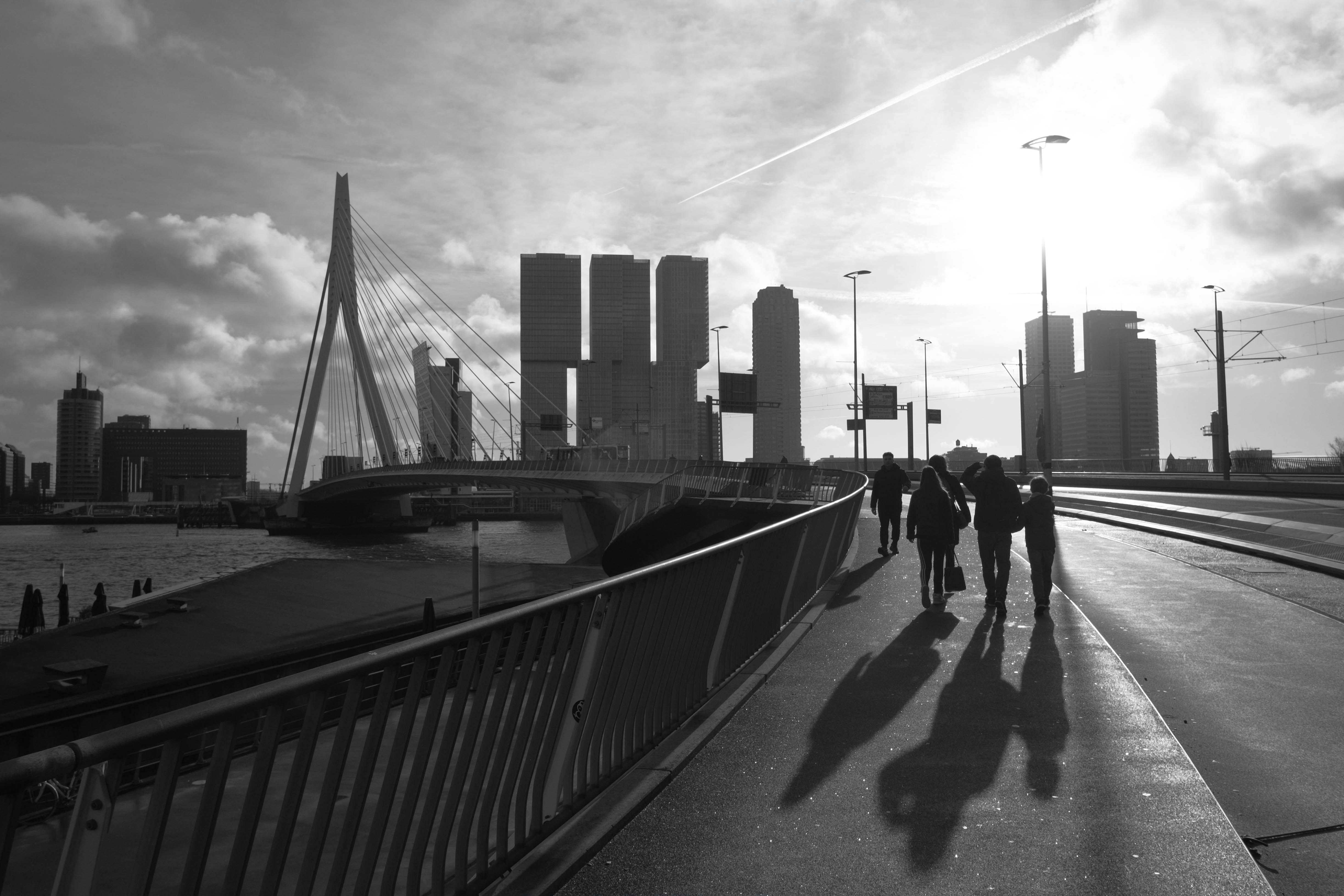 Afbeelding van Rotterdam