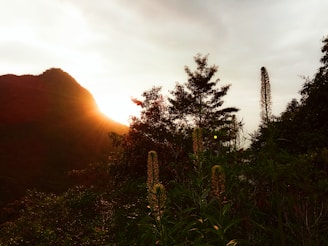 A sunset view over the retreat center, casting a golden glow.