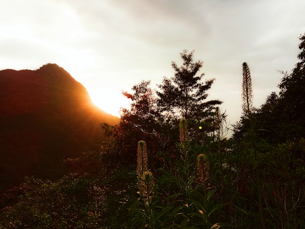 A sunset view over the retreat center, casting a golden glow.