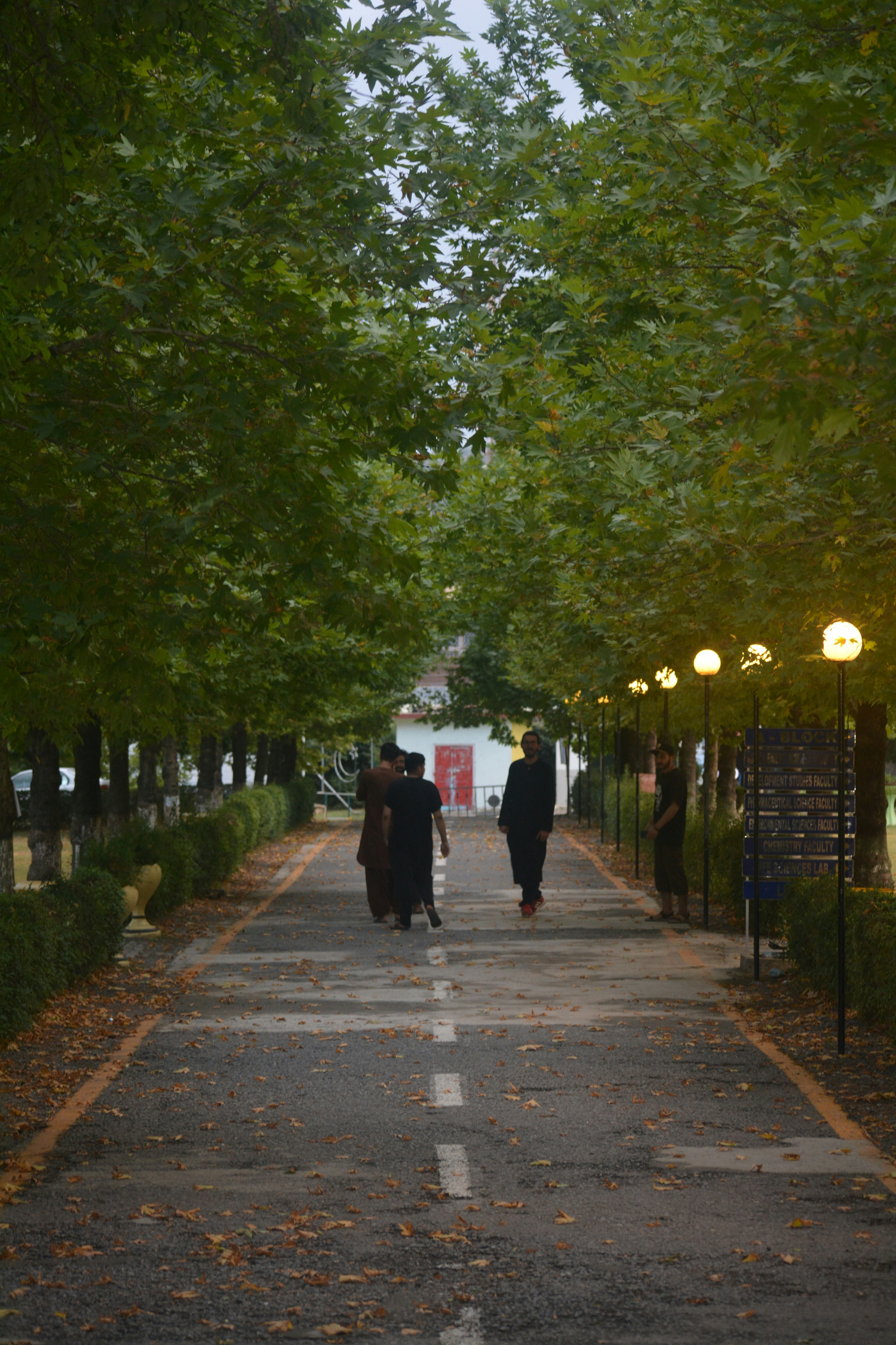 a couple of people walking down a tree lined street