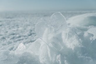 A delicate ice heart sculpture sparkling at a wedding reception.