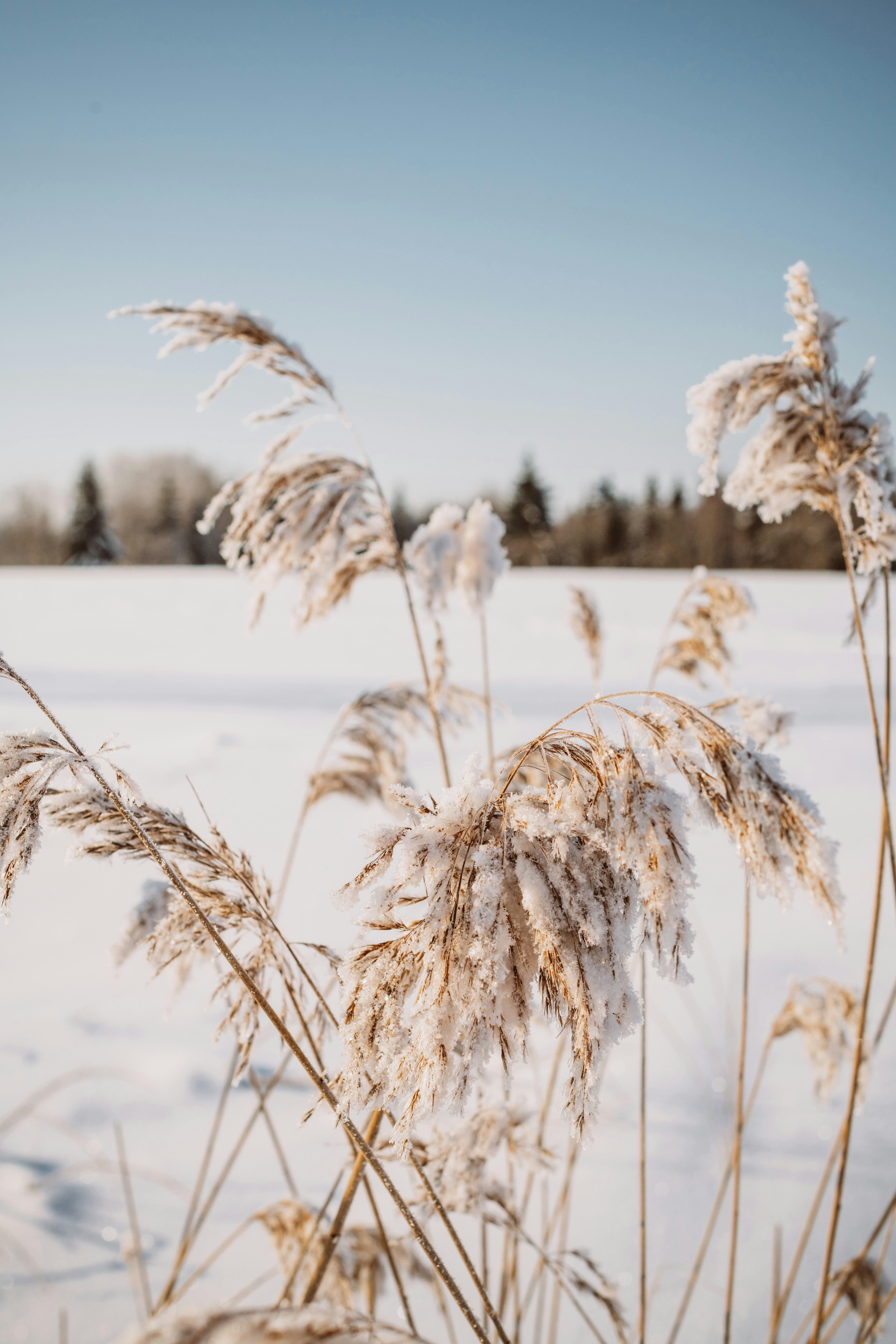 Photo by anitaaustvika