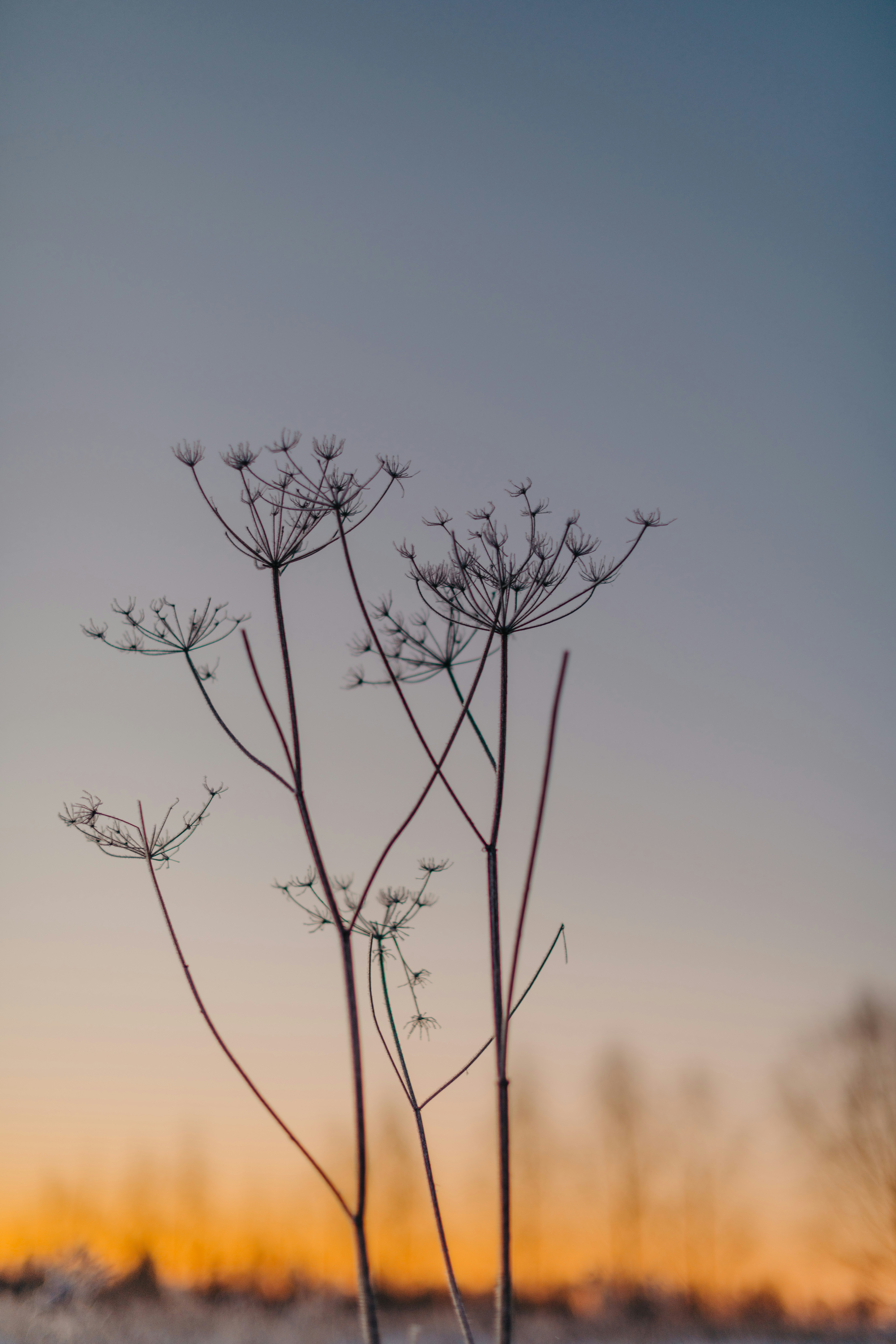 Photo by anitaaustvika