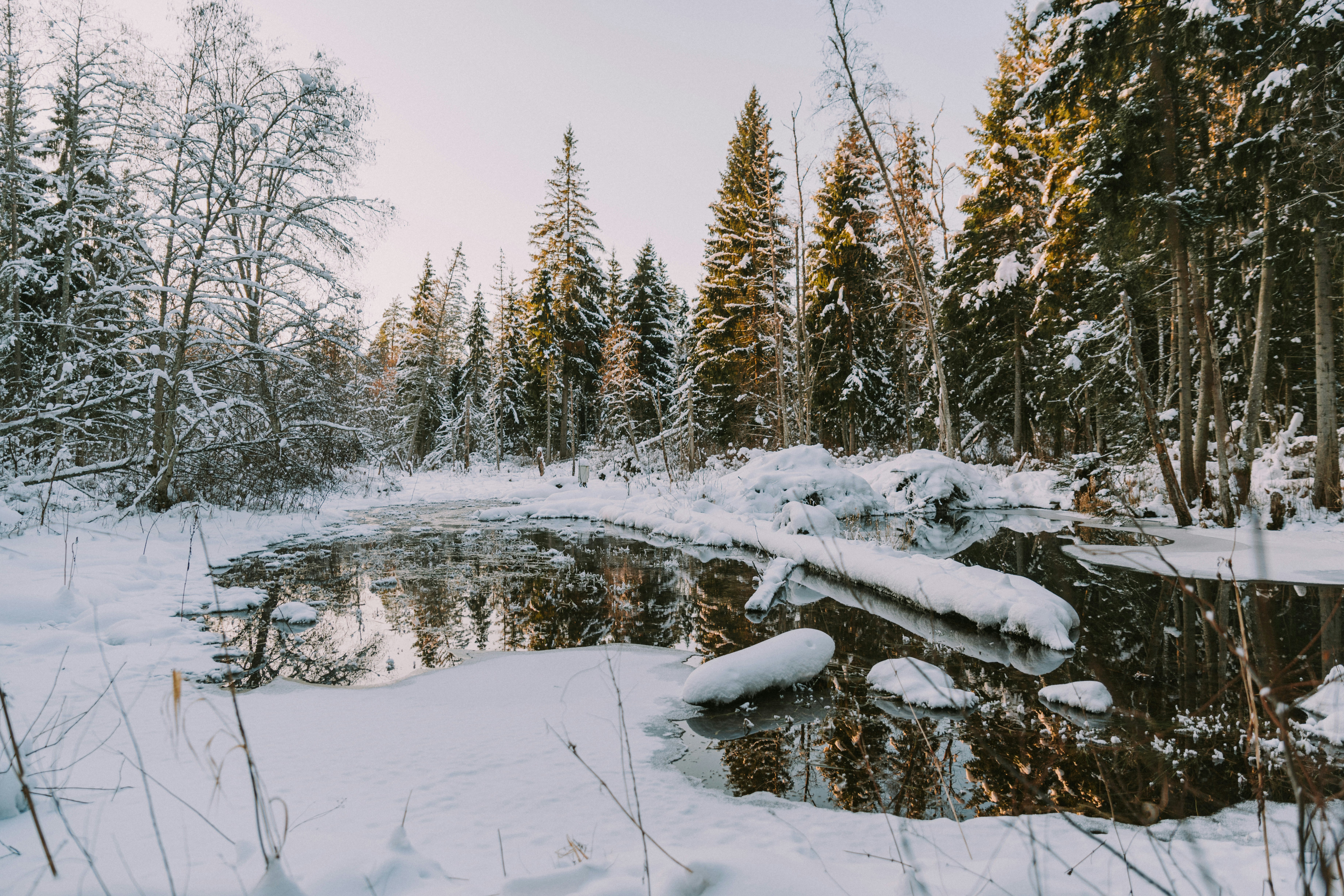 Photo by anitaaustvika