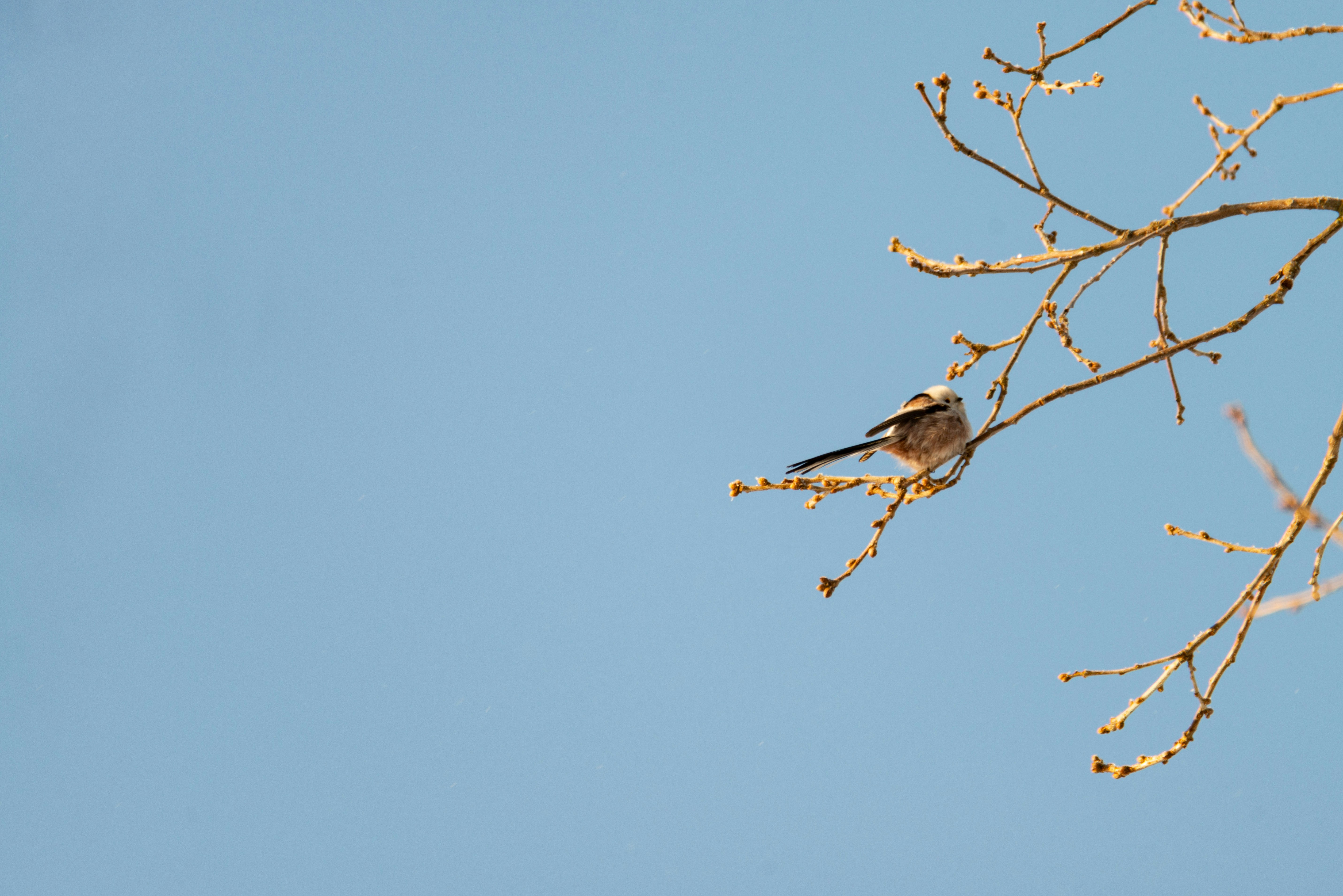 Photo by anitaaustvika