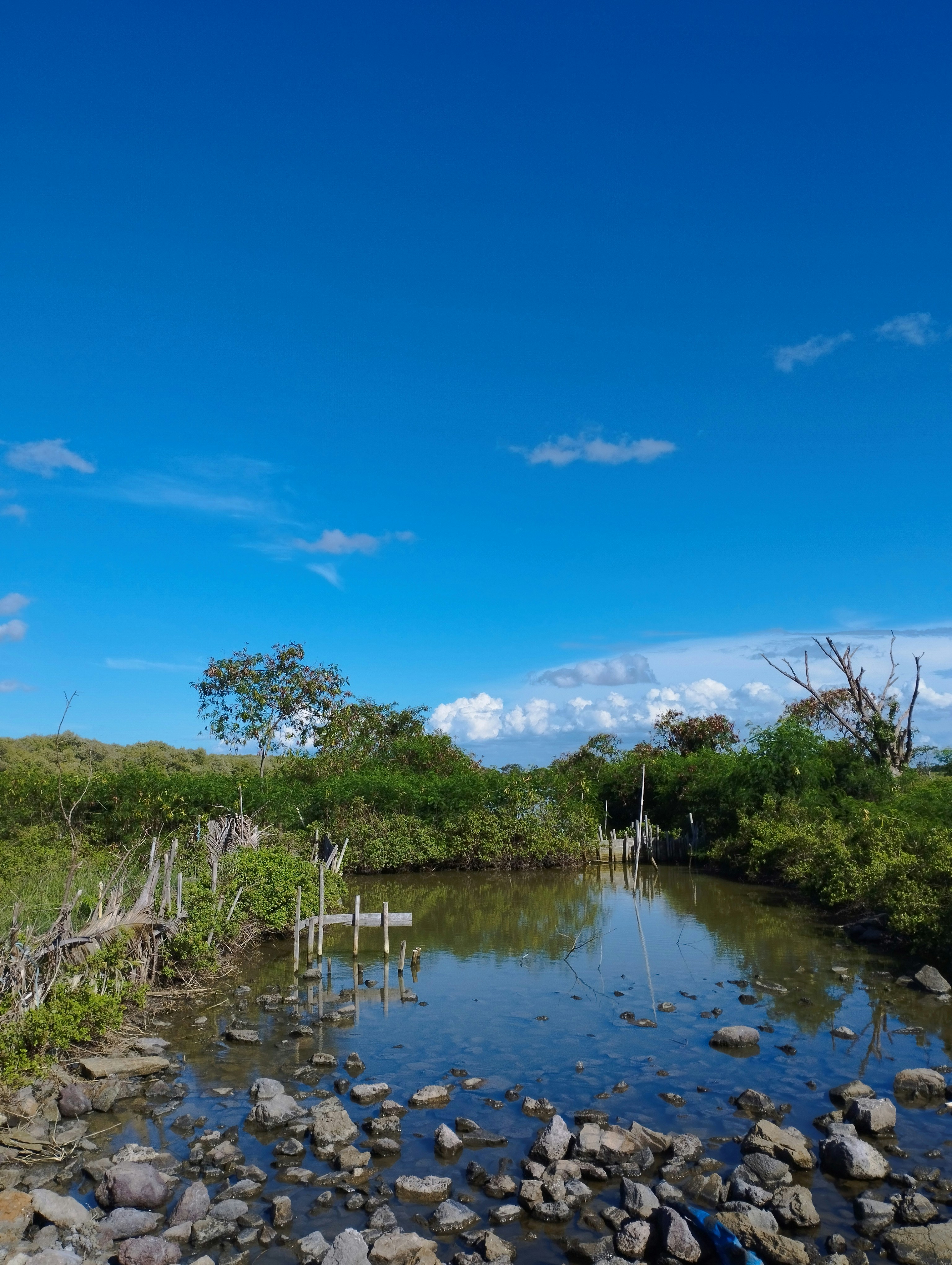 Photo by katrimaningsih