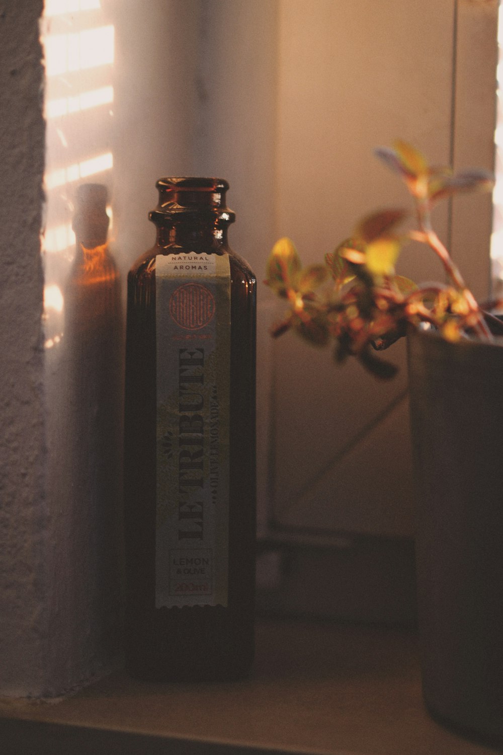 a bottle of liquor sitting next to a potted plant