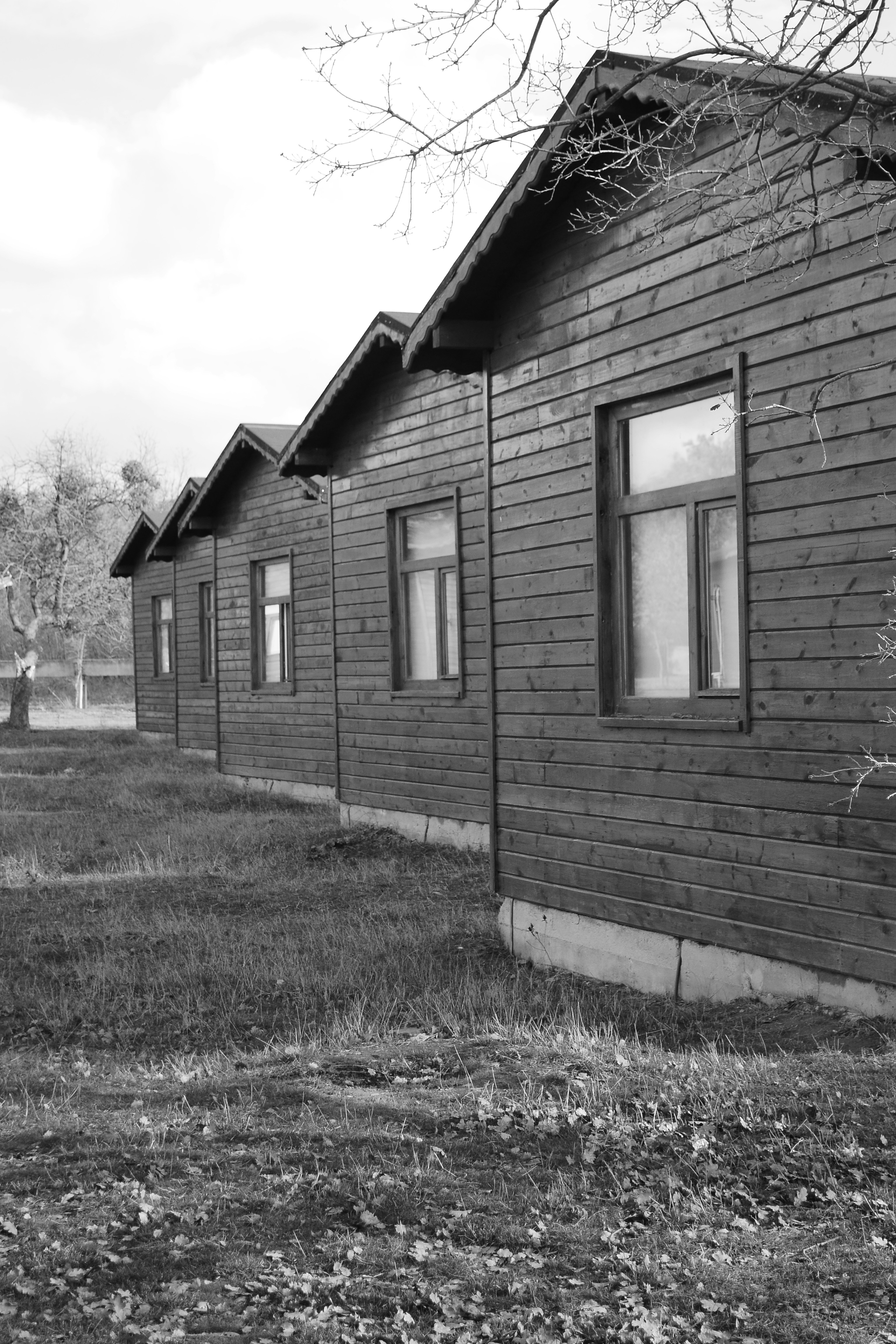 Photo by gonencturkekul