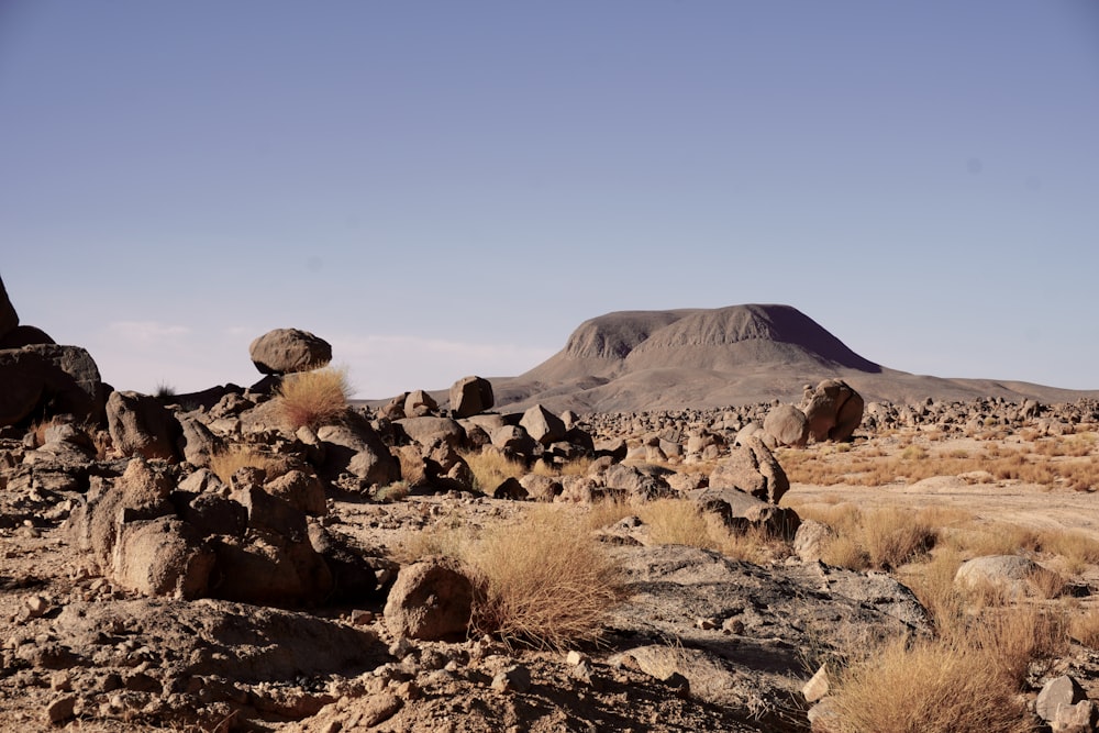 a rocky landscape with a mountain in the background