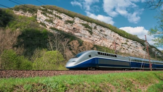 a blue and white train traveling down train tracks