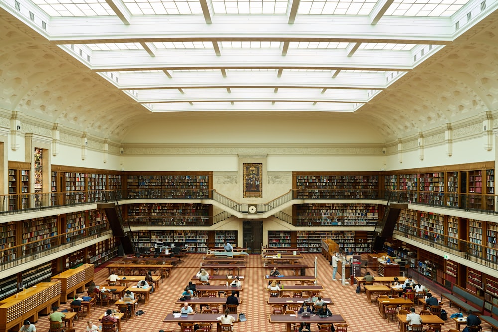 Una gran biblioteca llena de muchos libros