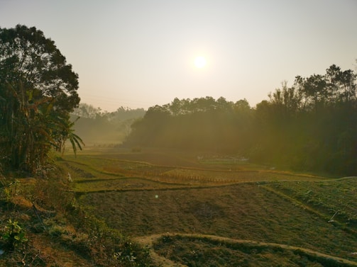 A warm photo of a farmer smiling in a lush green field at sunrise.
