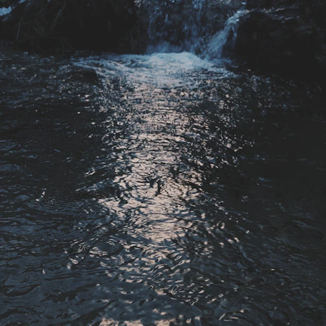 An elegant water feature with gentle ripples reflecting the surrounding plants.