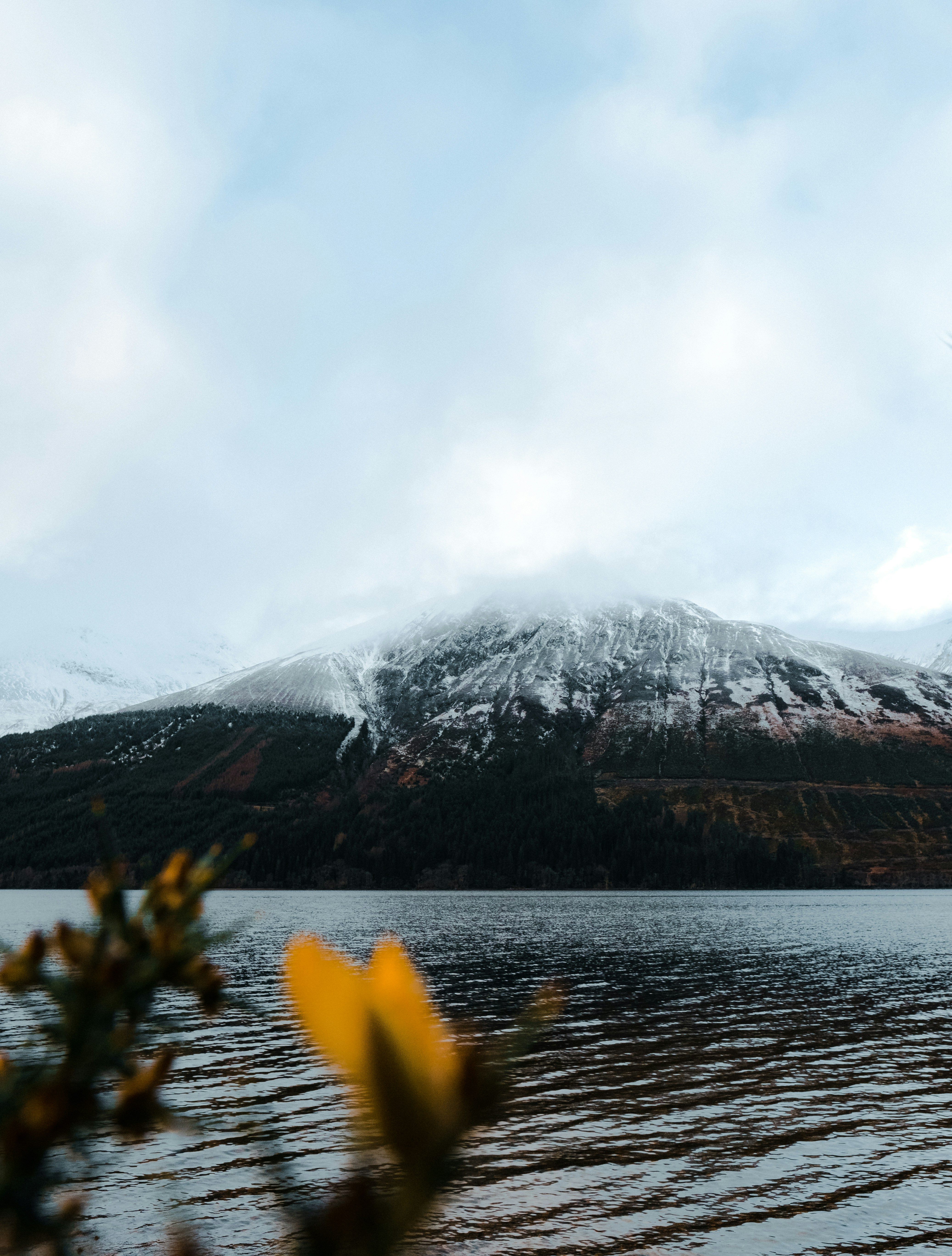 Photo by valentinsalmon