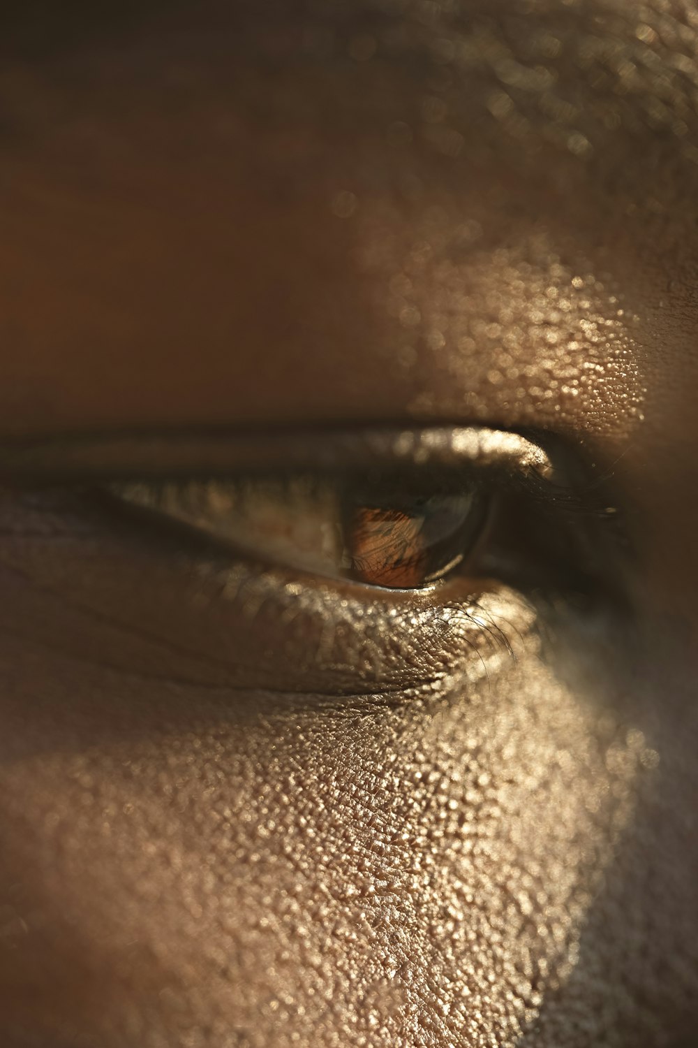 a close up of a person's brown eye