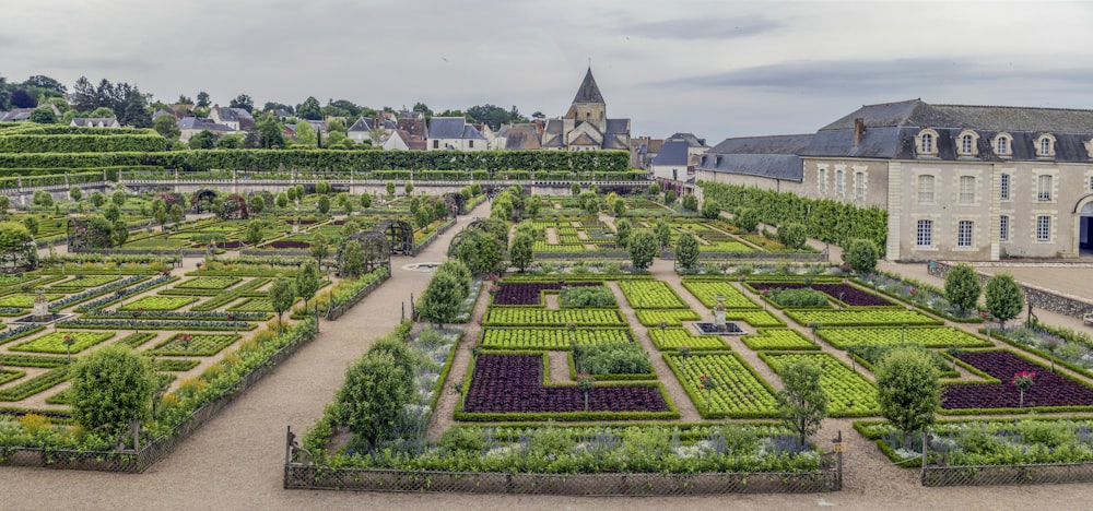 a large garden with many different types of plants