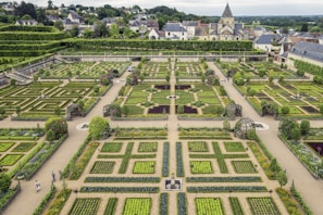 An aerial view of a residential garden showcasing neatly trimmed hedges and colorful flower beds.