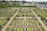 An aerial view of a meticulously landscaped garden displaying symmetrical geometric patterns of various plant beds. The garden is surrounded by hedges and pathways, with a village and church in the background. There are several arches and trellises throughout the garden.