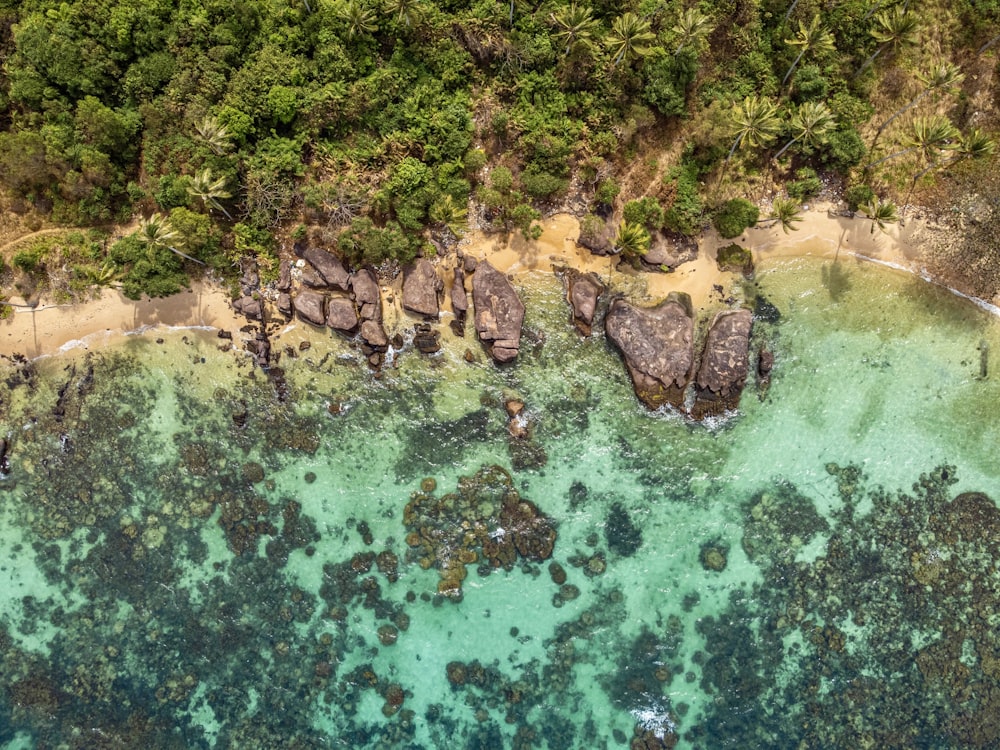 an aerial view of a beach with rocks and trees