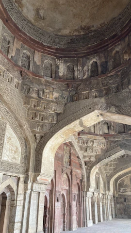 Intricate carvings on the walls of a historic Rajasthan palace.