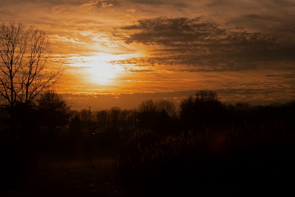 the sun is setting over a field with trees