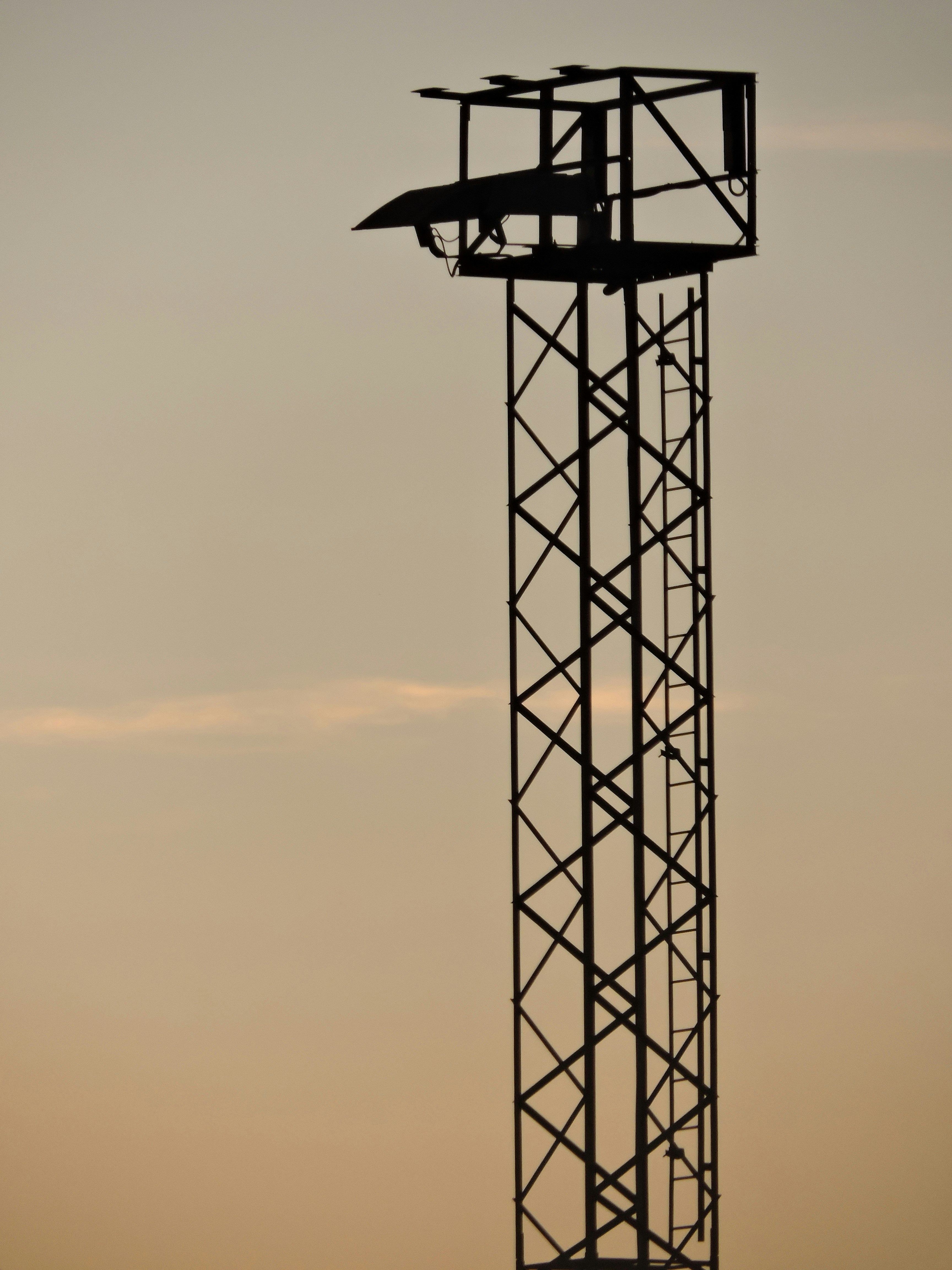 Photo by carlotta_dcb