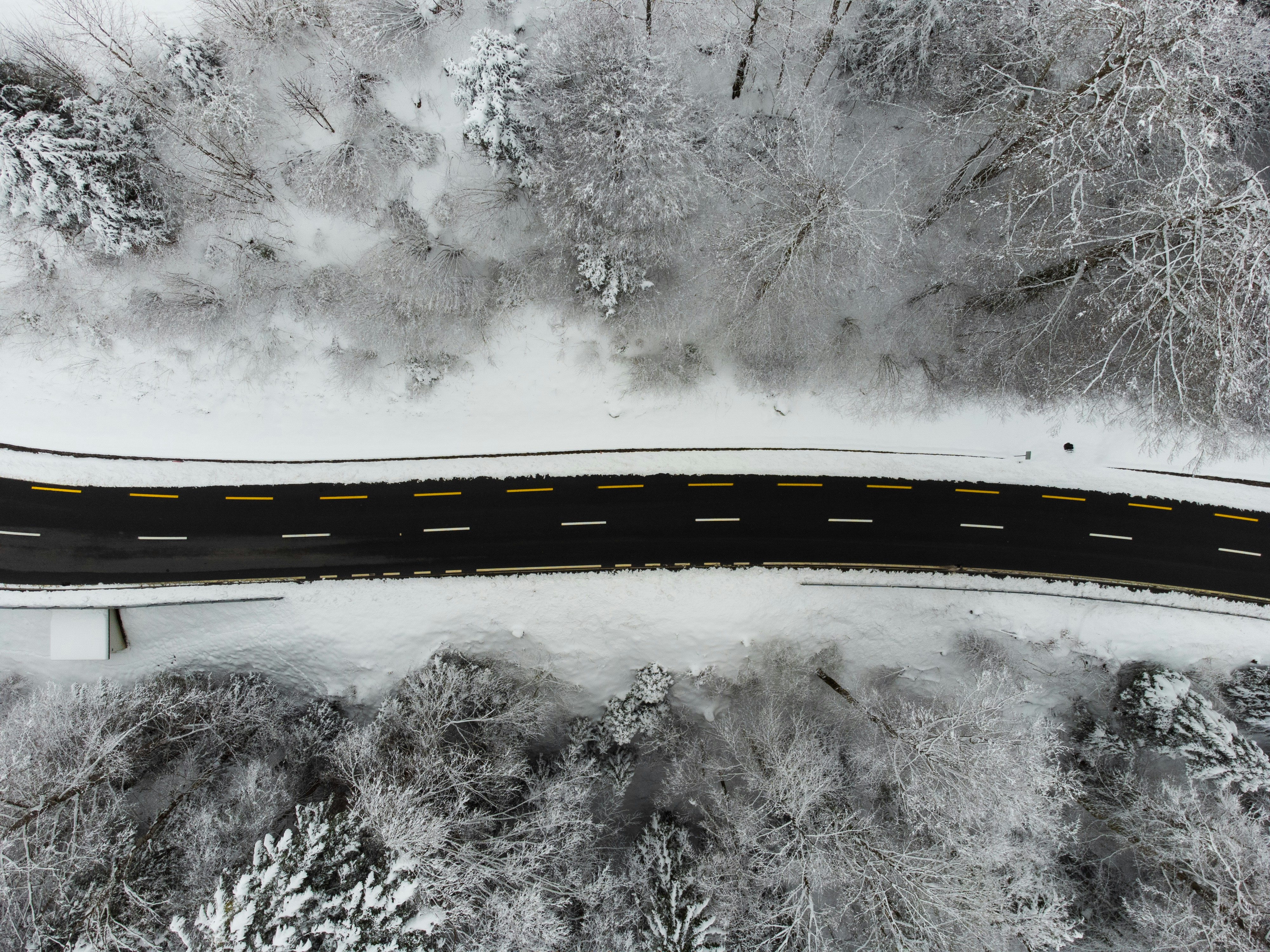 Photo by gibbivision