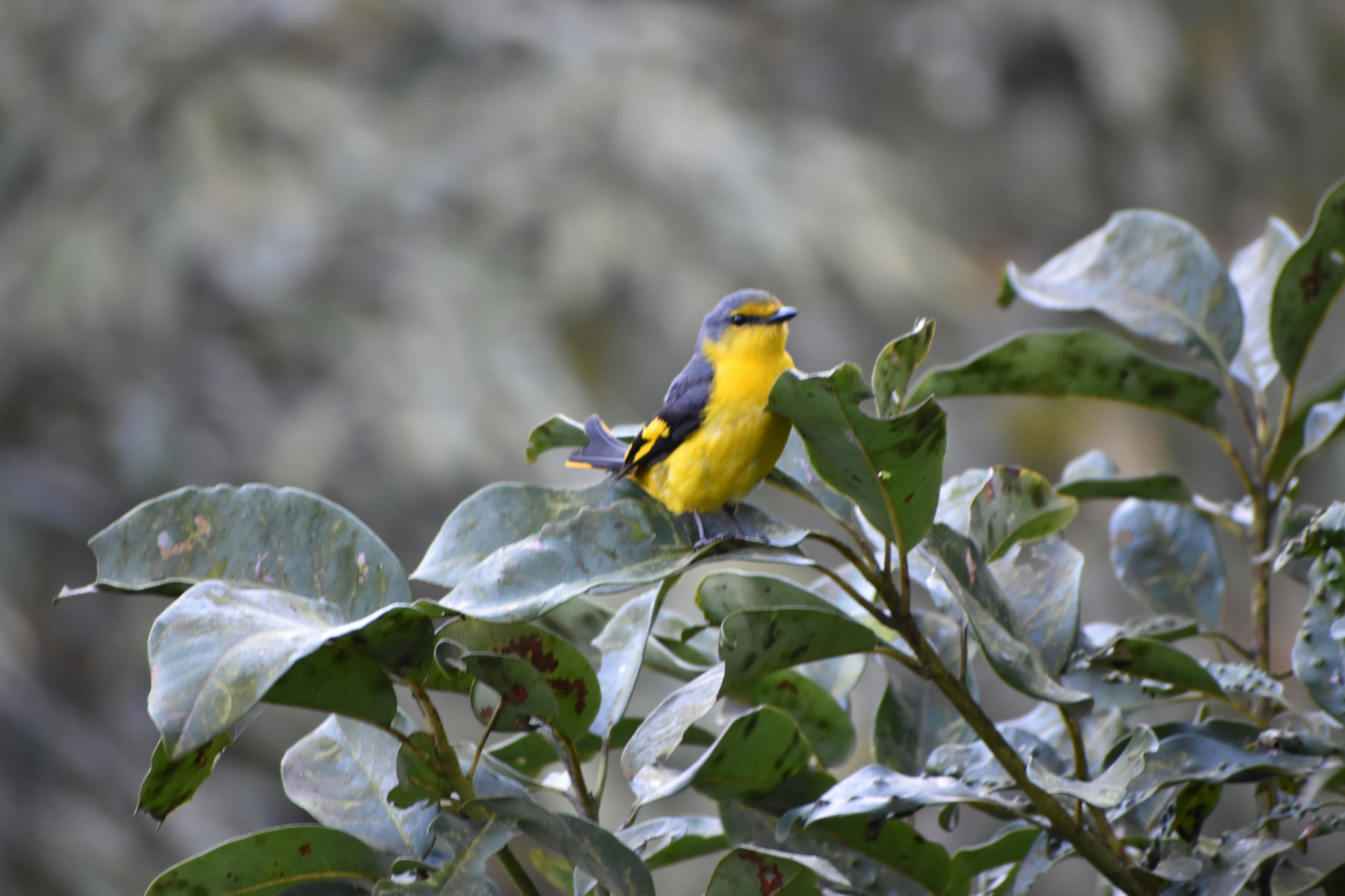 Photo by hobby_photographer