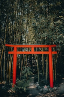 a red tori tori tori tori tori tori tori tori tori tori tori tori tori tori