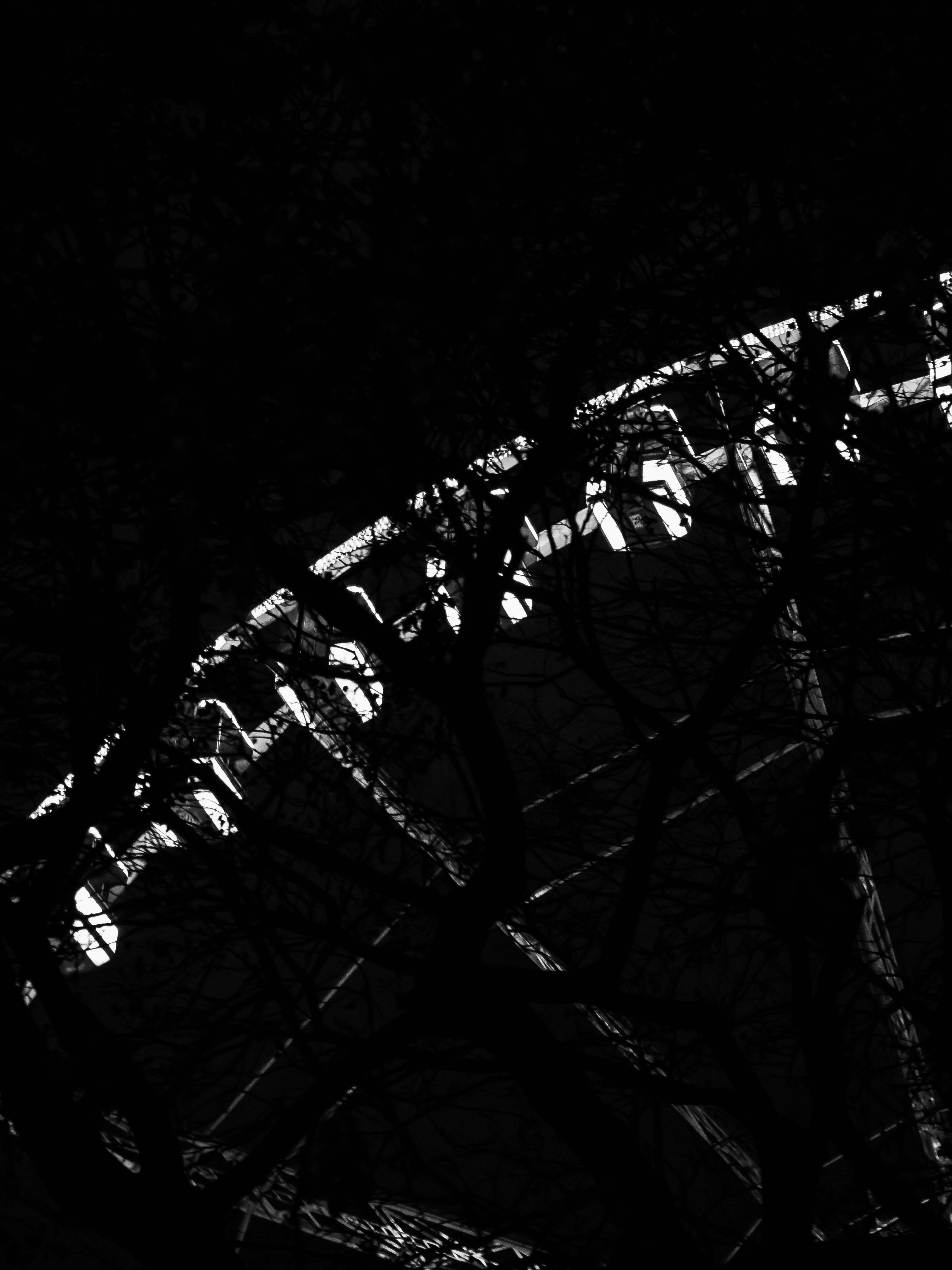 Photo by photosbyedoardo