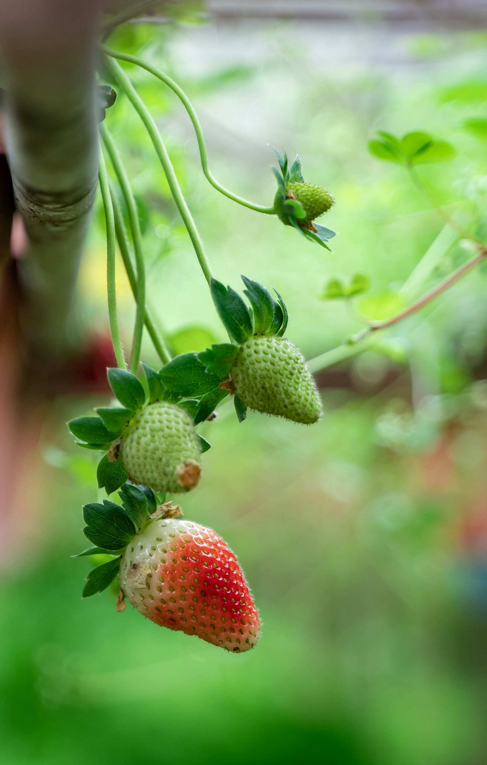 Photo by ngjiesuang94