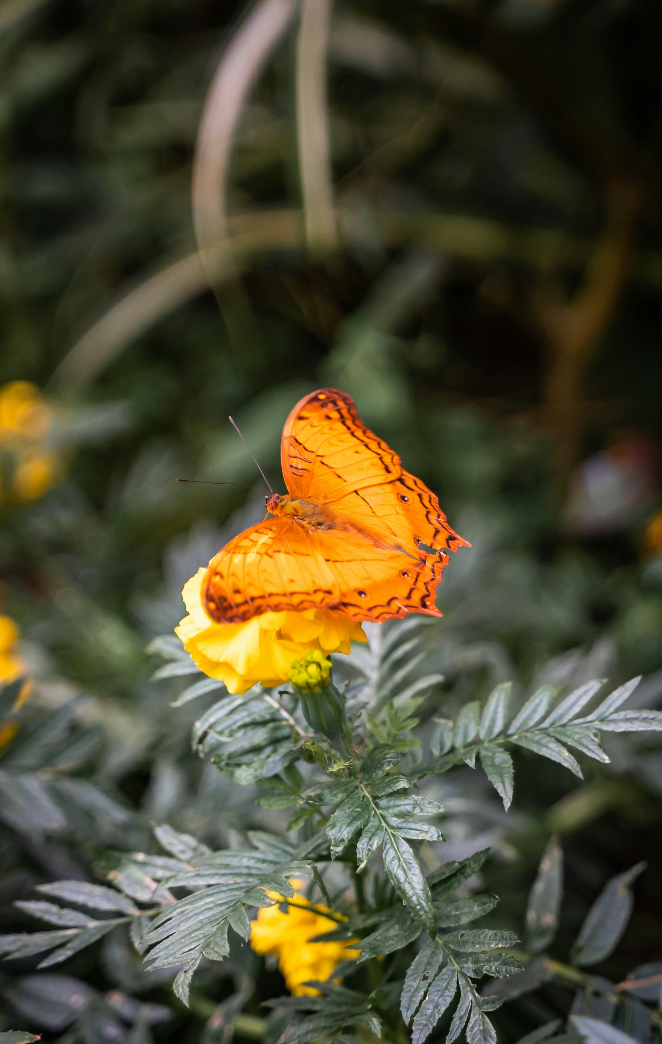 Photo by ngjiesuang94