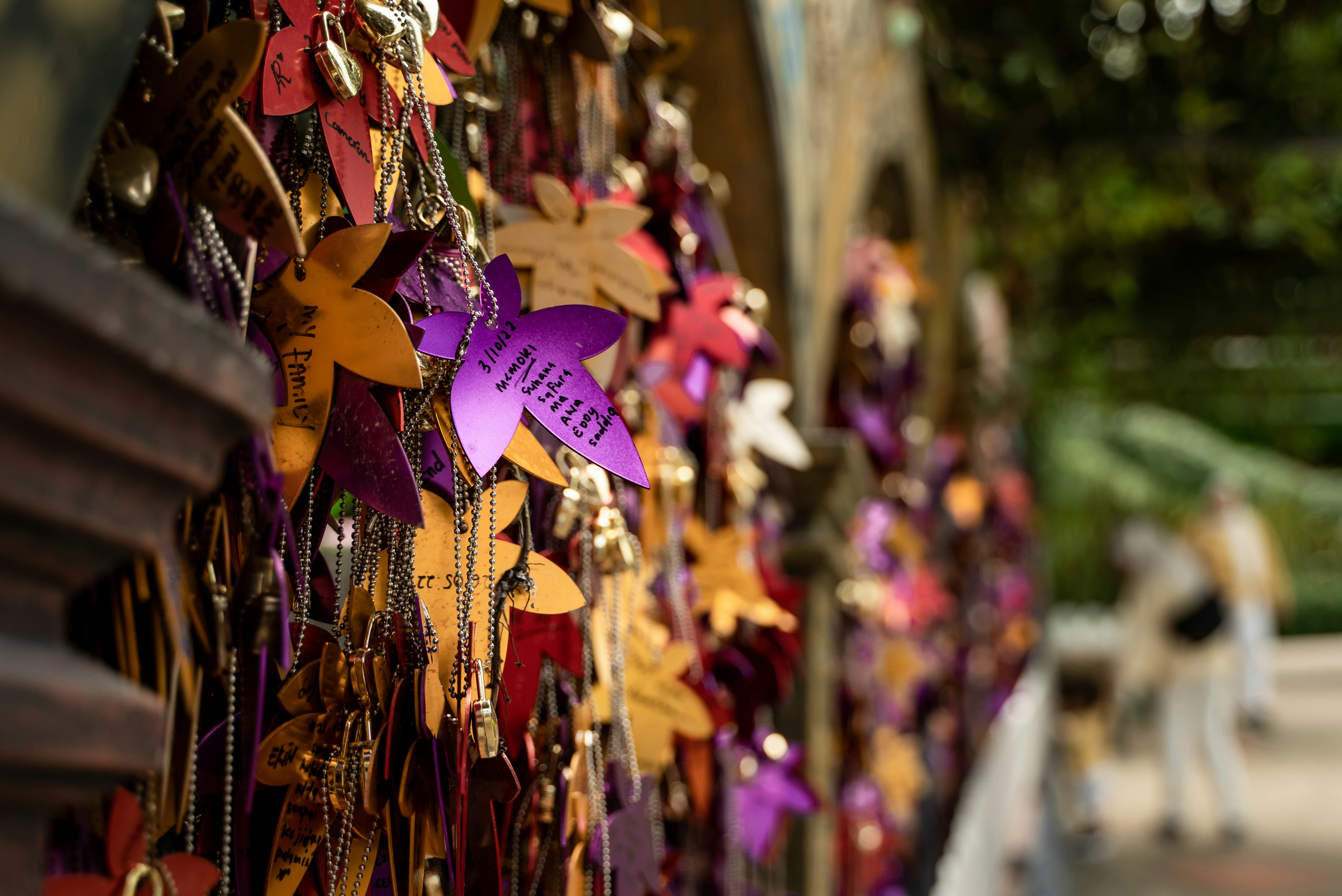 Photo by ngjiesuang94