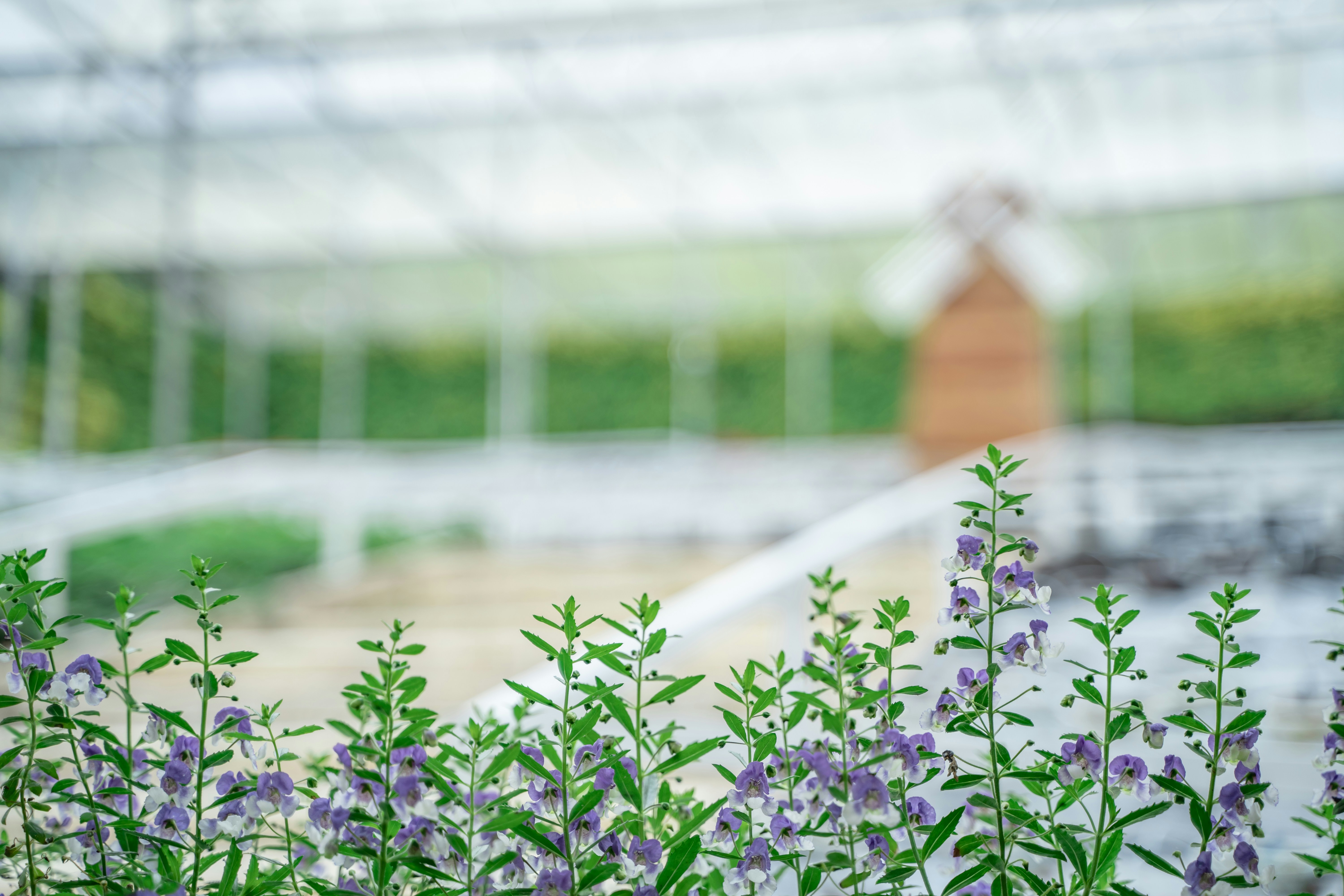 Photo by ngjiesuang94