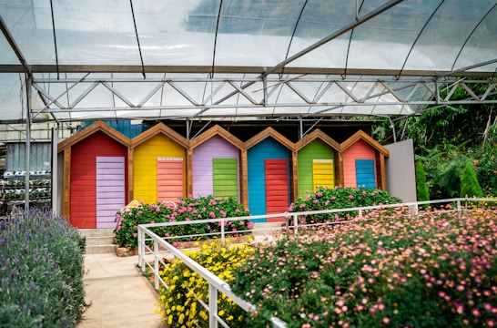 A variety of custom sheds lined up, showcasing different styles and colors.