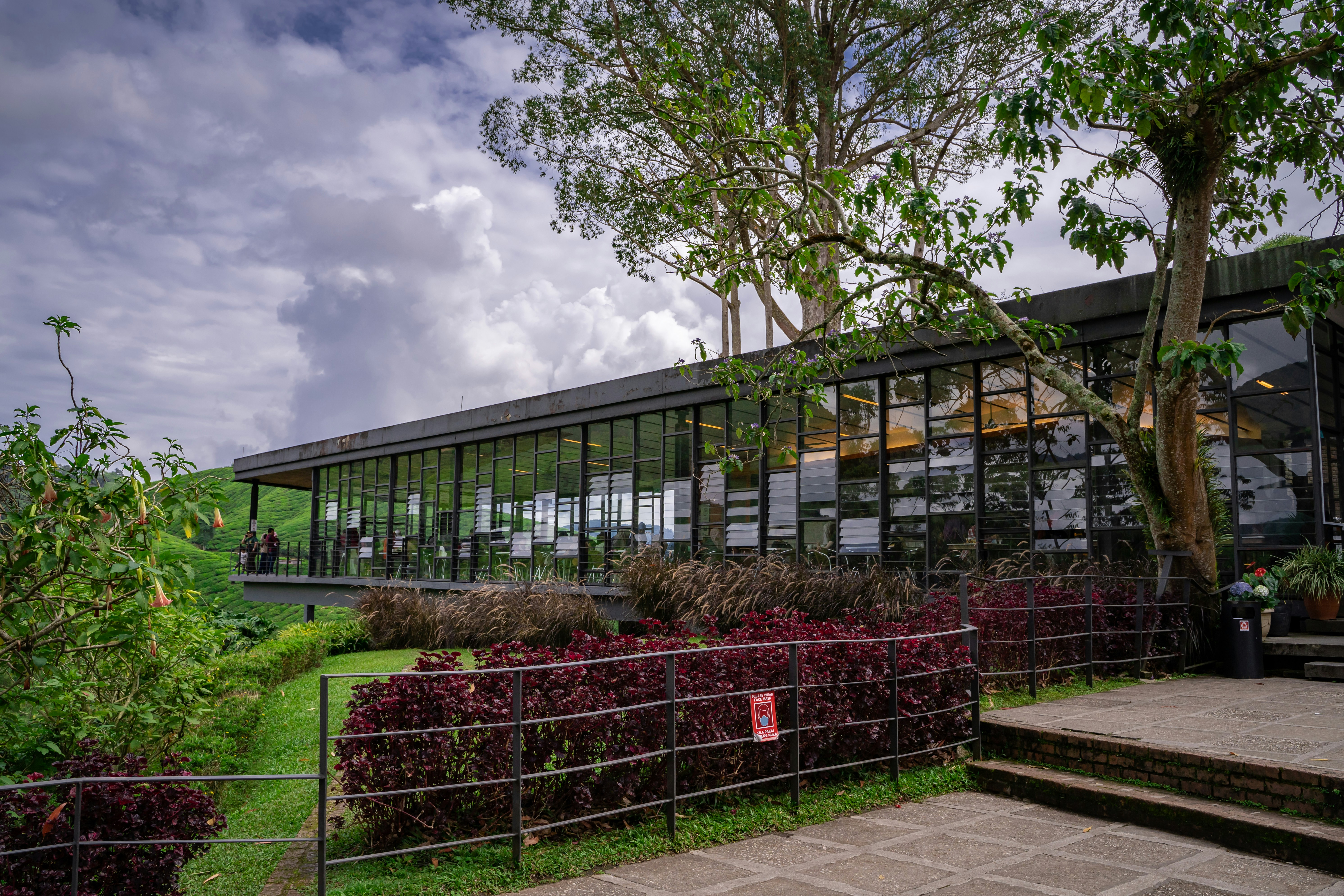 Photo by ngjiesuang94