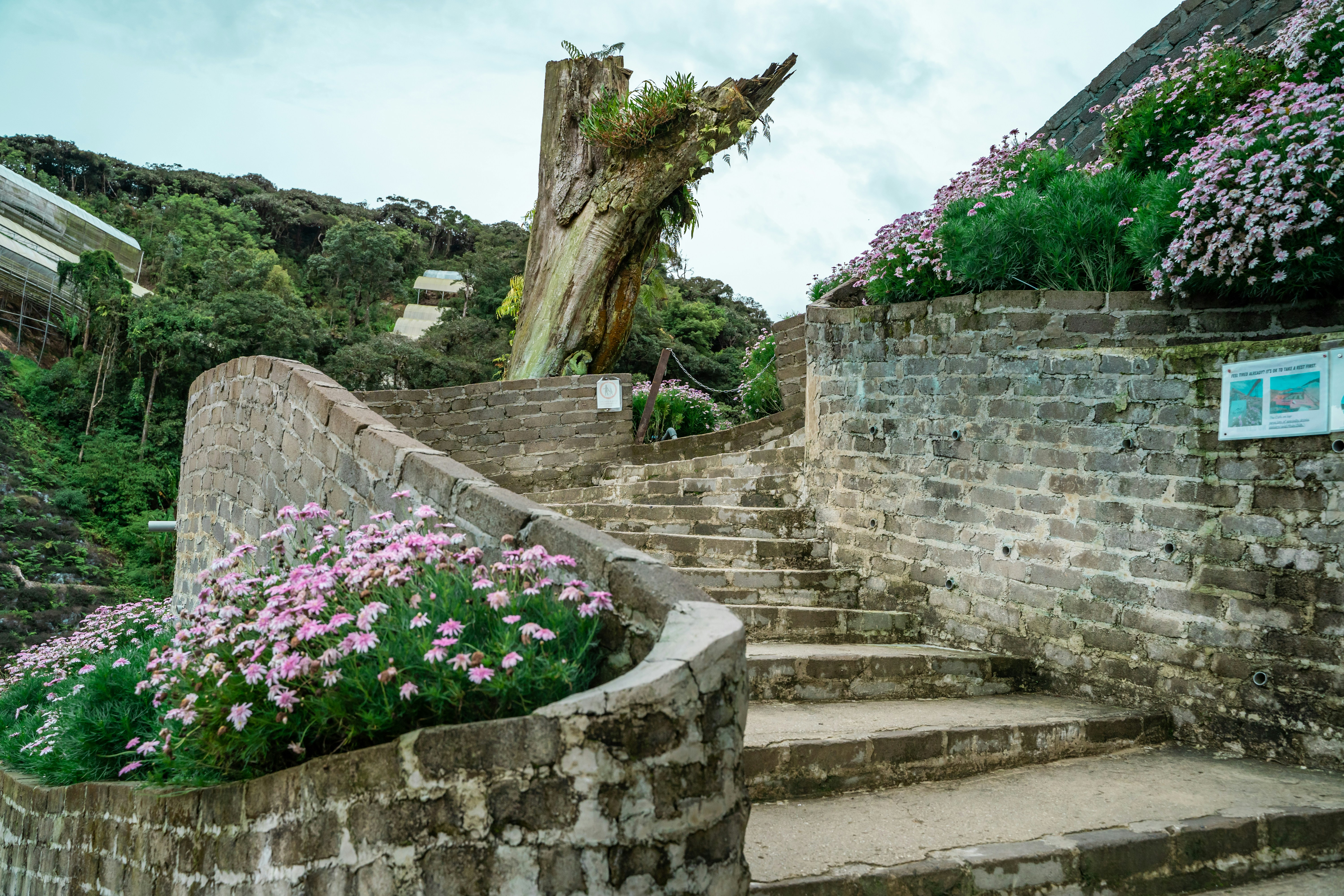 Adah's Stairway Garden