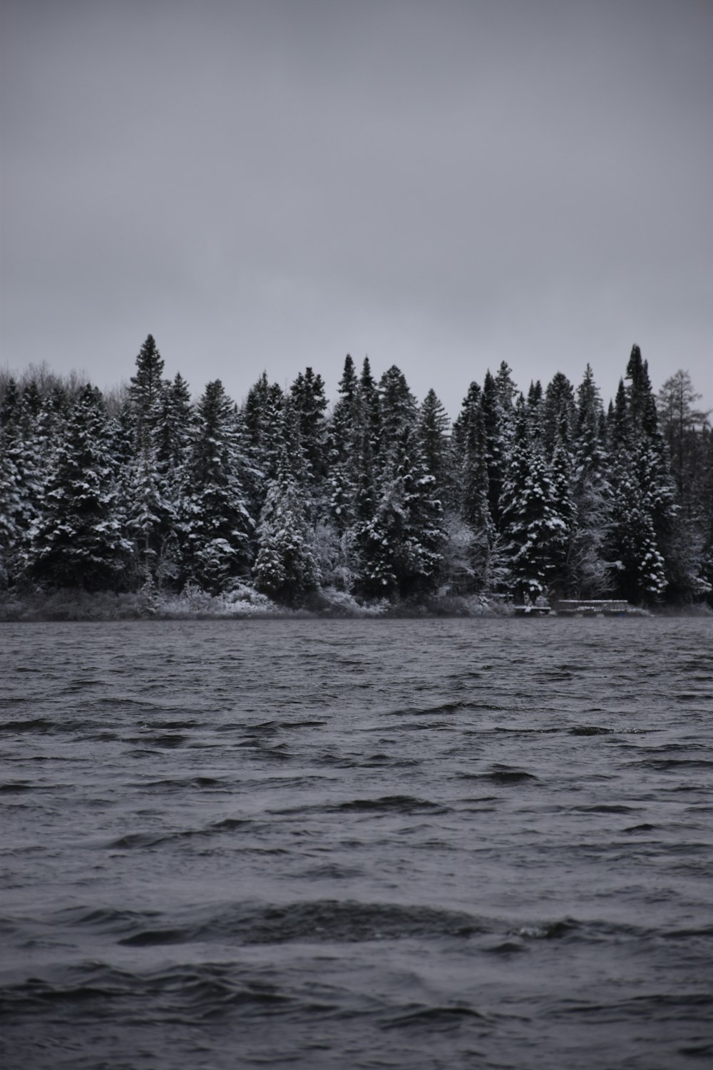 un cuerpo de agua rodeado de árboles cubiertos de nieve