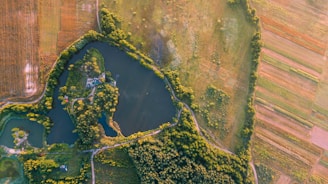 Aerial view of lush green forests and land surveying equipment in a natural landscape.