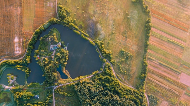 Aerial view of lush green forests and land surveying equipment in a natural landscape.